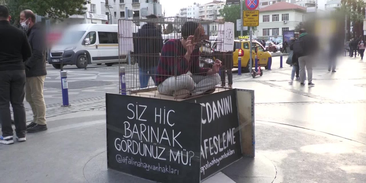 İZMİR'DE SOKAK HAYVANLARI İÇİN KAFESLİ EYLEM