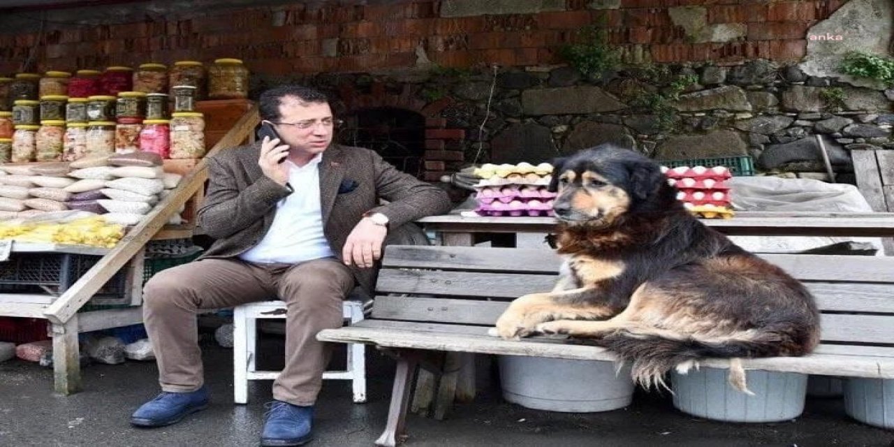 İMAMOĞLU: HAYVANLARI KORUMA KANUNU’NA UYGUN ŞEKİLDE DÜZENLİ KONTROLLERİNİ SAĞLIYORUZ