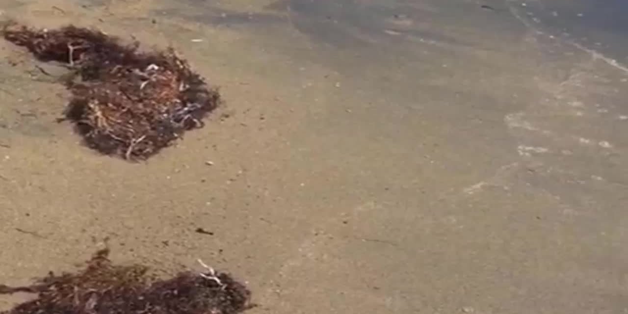 Çiğli’de Çocuklara Tiyatro
