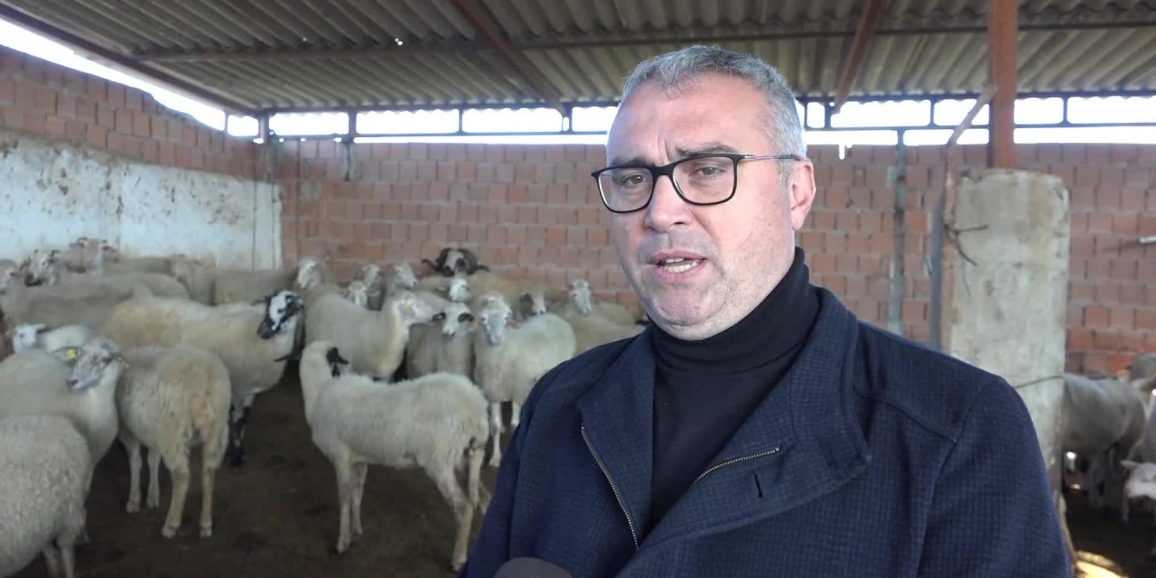 AYDIN BÜYÜKŞEHİR BELEDİYESİ’NİN KOYUN HİBE DESTEĞİ İLE SÜRÜLER BÜYÜYOR