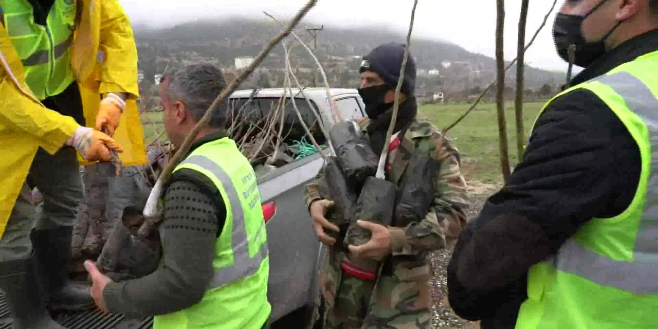 ANTALYA BÜYÜKŞEHİR BELEDİYESİ İLÇELERDE FİDAN DAĞITIYOR