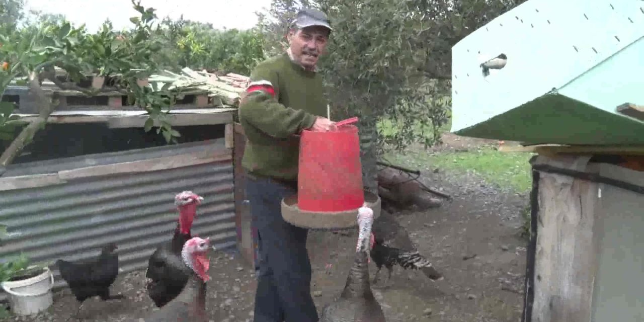 SEFERİHİSAR'DA HEM ÜRETİCİLERİN HEM İHTİYAÇ SAHİPLERİNİN YÜZÜNÜ GÜLDÜREN PROJE