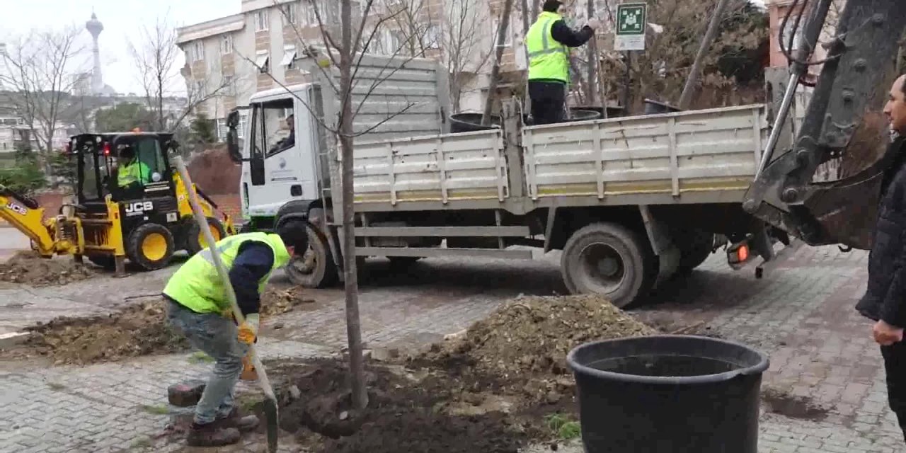 BÜYÜKÇEKMECE, 2022 YILINA 22 IHLAMUR AĞACI DİKEREK GİRDİ