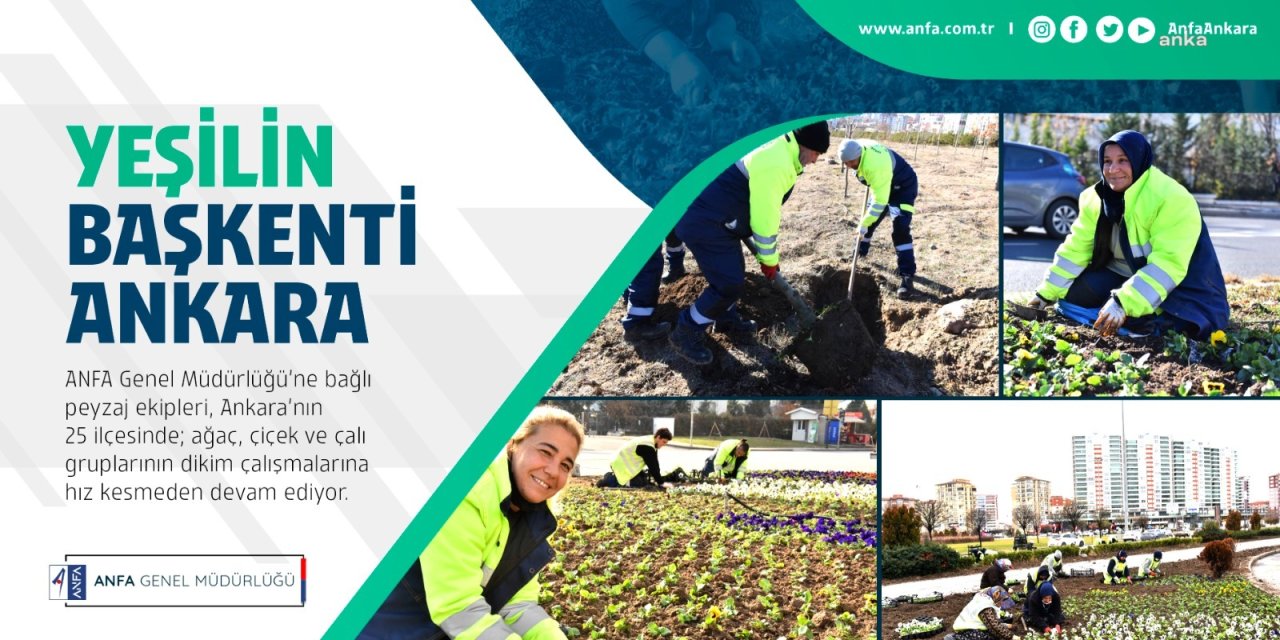 ANFA’DAN ŞEFFAFLIK UYGULAMASI: HER HAFTA ÇİÇEK VE AĞAÇ DİKİM VERİLERİ YAYIMLANACAK