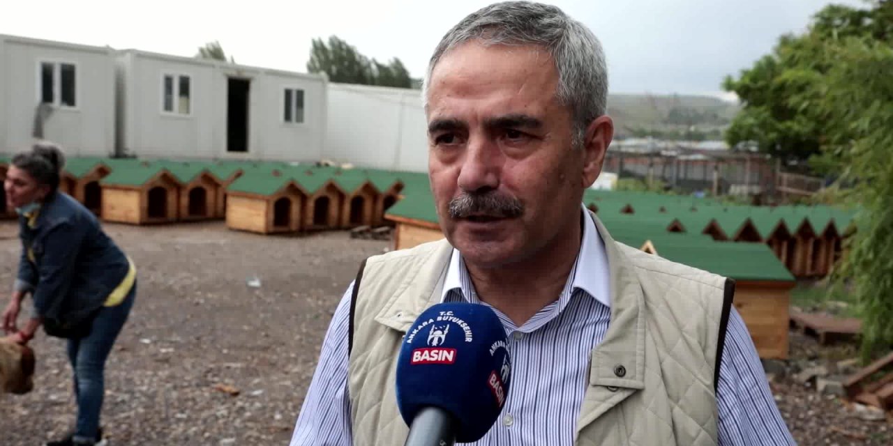 ANKARA BÜYÜKŞEHİR VE GÖNÜLLÜLER, SOKAK HAYVANLARI İÇİN EL ELE