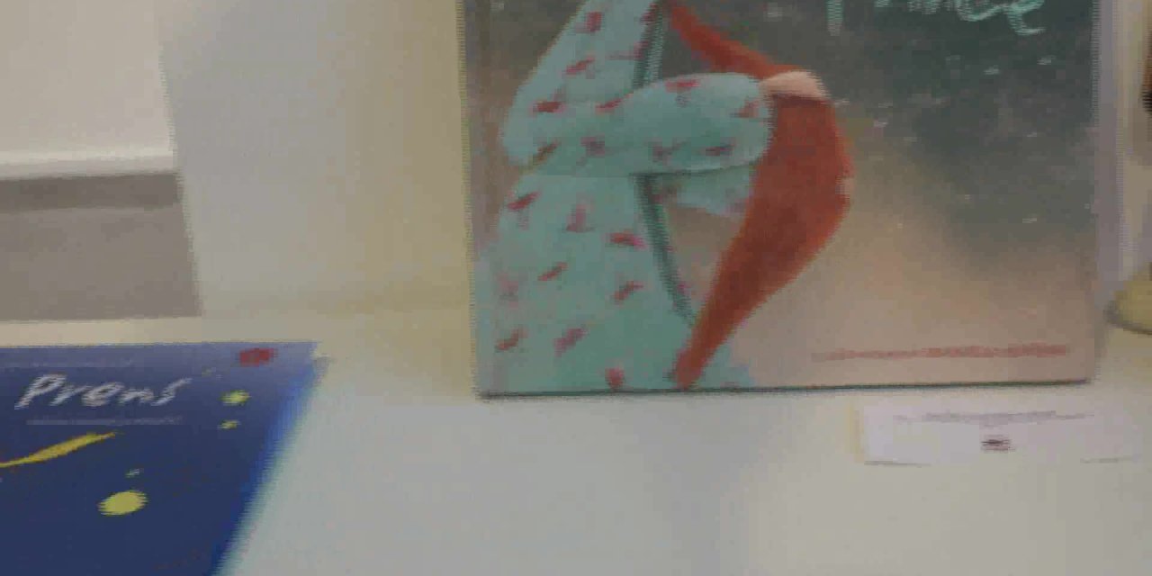 KÜÇÜK PRENS, ÇANKAYA'DA