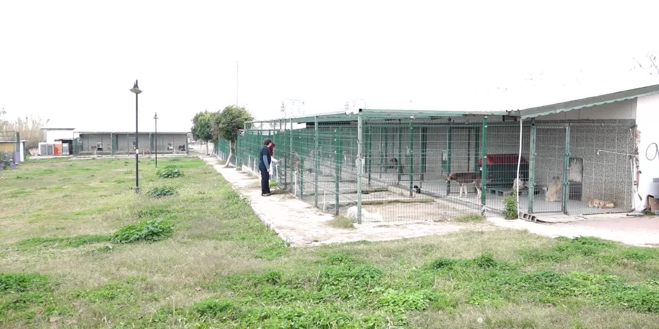 MURATPAŞA BELEDİYESİ'NDEN "SATIN ALMA SAHİPLEN" ÇAĞRISI