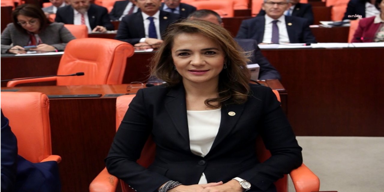 İLGEZDİ: "CSO CUMHURBAŞKANI'NI SANSÜRLÜYOR, DÜNYADA BÖYLE BİR DURUM İLK DEFA OLUYOR"