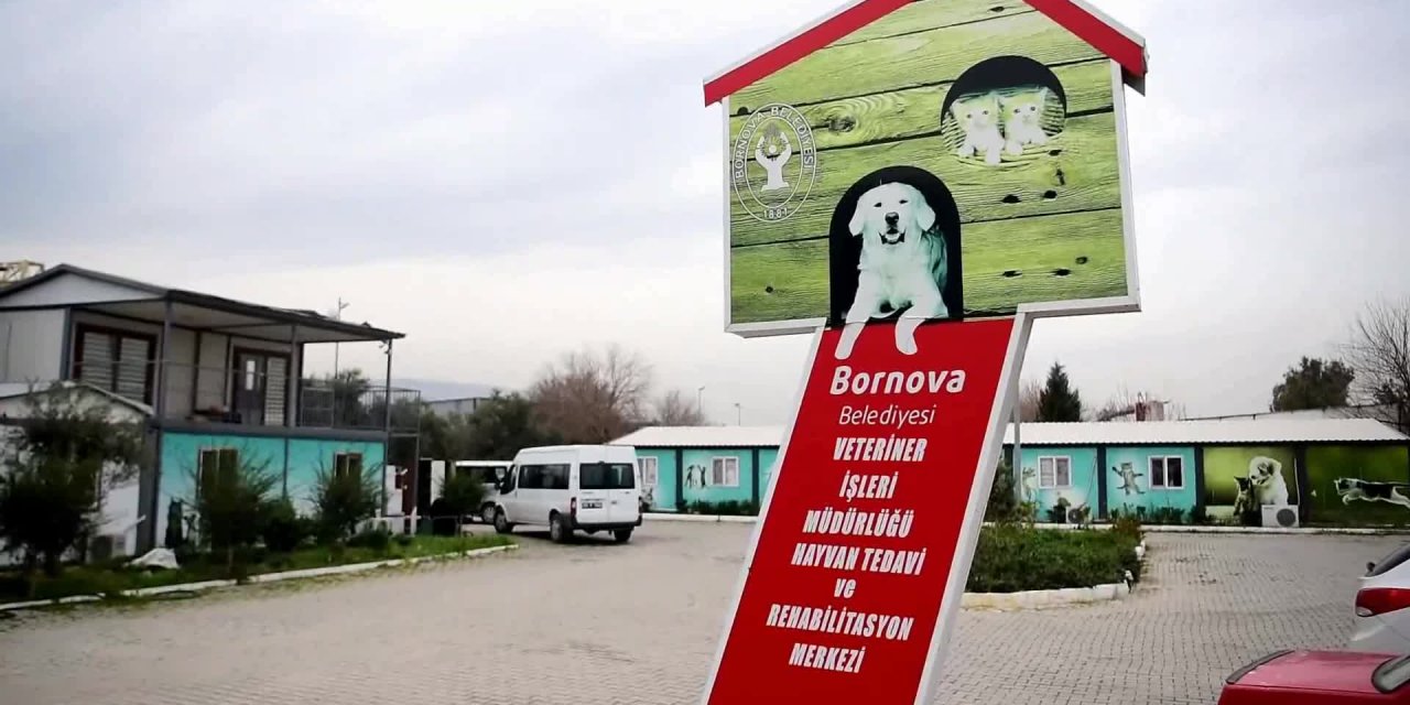 BORNOVA BELEDİYESİ 2021 YILINDA SOKAK HAYVANLARINA SAHİP ÇIKTI