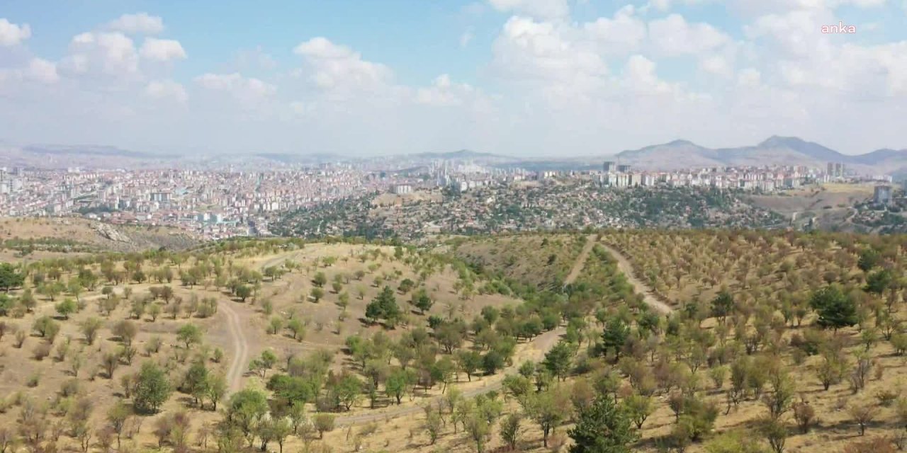 MİMARLAR ODASI DUYURDU: YARGI, ATATÜRK ORMAN ÇİFTLİĞİ’NİN ASKERİ ALAN OLARAK YAPILAŞMAYA AÇILMASINA "DUR" DEDİ