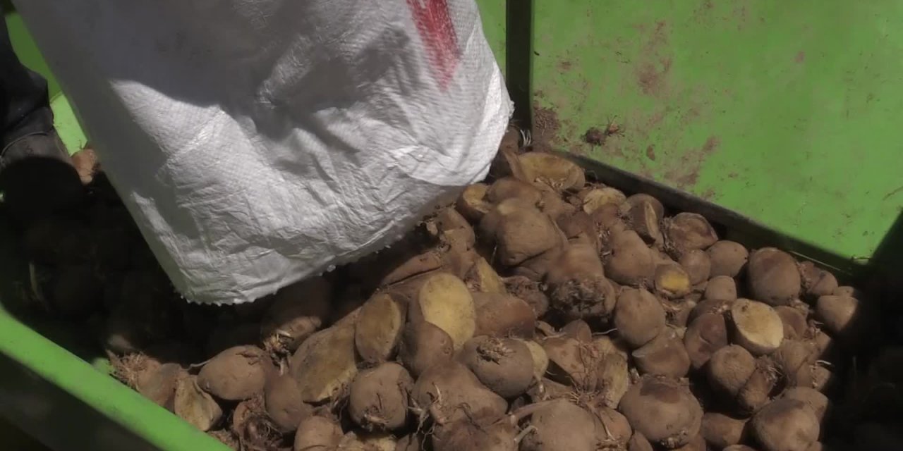 FAYDALI BÖCEK ÜRETİMİNDE YENİ ÜRÜN; ‘BAL KABAĞI’