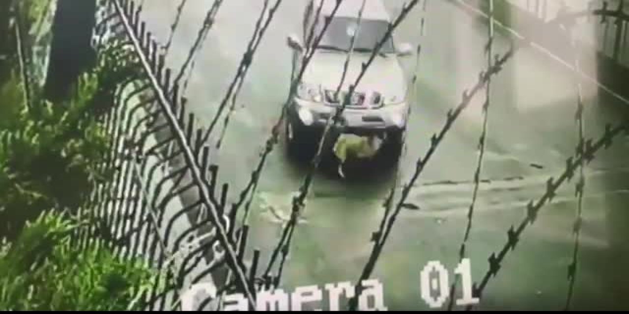 DİREKSİYONU KIRARAK YOL KENARINDA OYNAYAN KÖPEĞİ EZEN KATAR UYRUKLU SÜRÜCÜ GÖZALTINA ALINDI