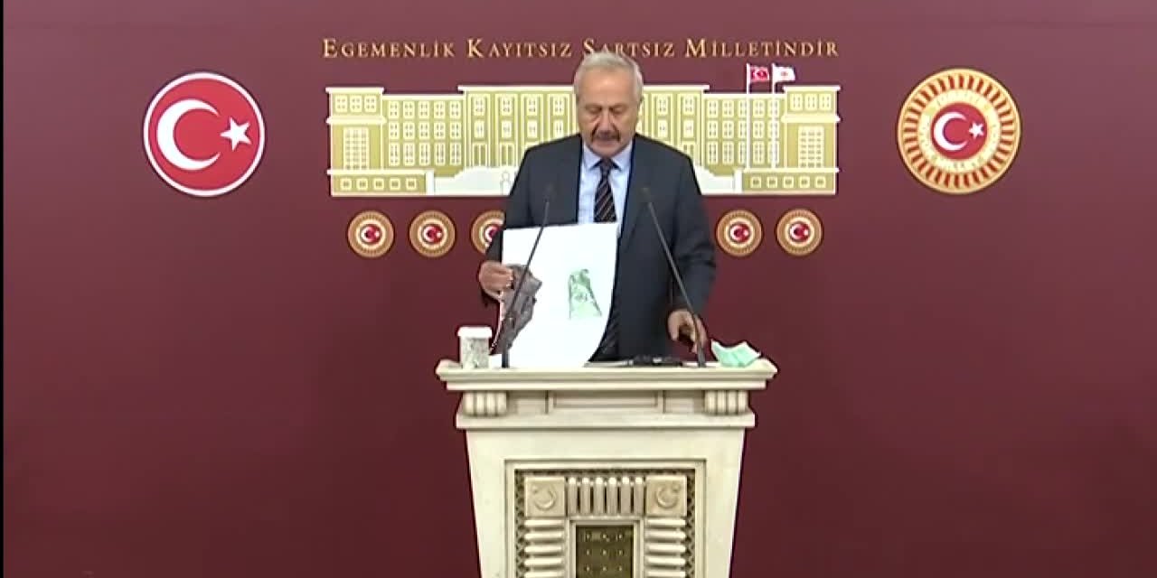 Akın Akın Dönüyorlar