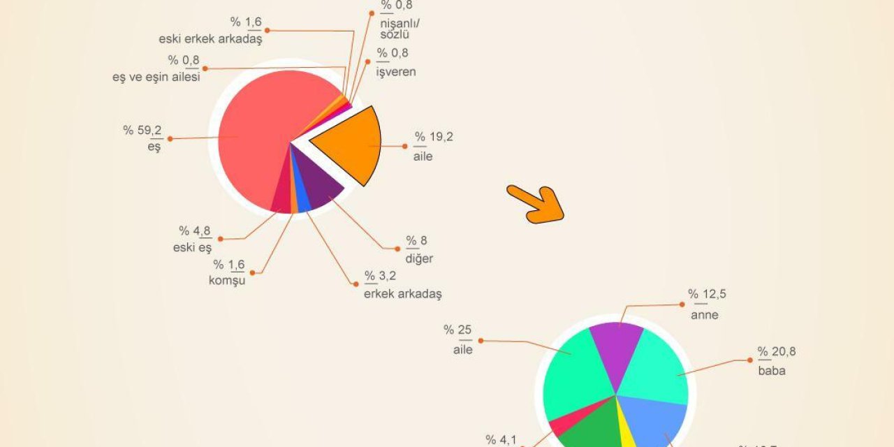 TKDF: ARALIK'TA AİLE İÇİ ŞİDDET YÜZDE 59,2 ORANINDA EŞLER TARAFINDAN UYGULANDI