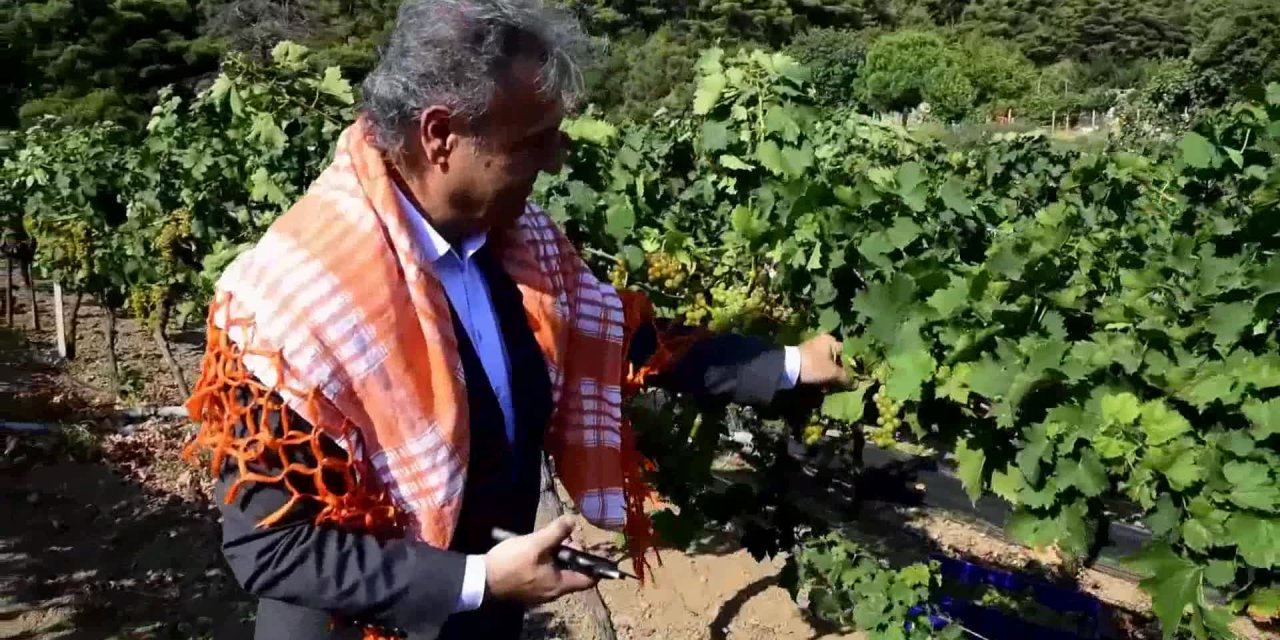 BORNOVA'DA SÜRDÜRÜLEBİLİR TARIM İÇİN ARALIKSIZ DESTEK