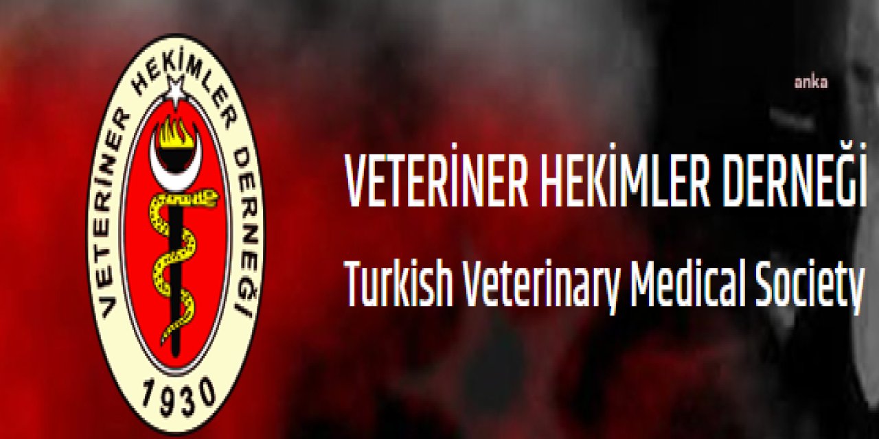 VETERİNER HEKİMLER DERNEĞİ: "İNSAN SAĞLIĞININ VAZGEÇİLMESİ SAĞLIKLI GIDADIR. KAÇAK, ET DEĞİLDİR”