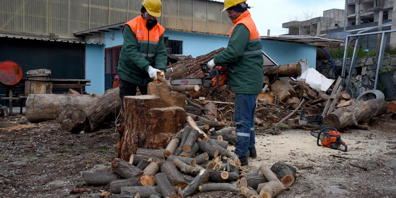 KUŞADASI’NDA AĞAÇ ATIKLARI, İHTİYAÇ SAHİPLERİ İÇİN KARA KIŞTA YAKACAĞA DÖNÜŞÜYOR