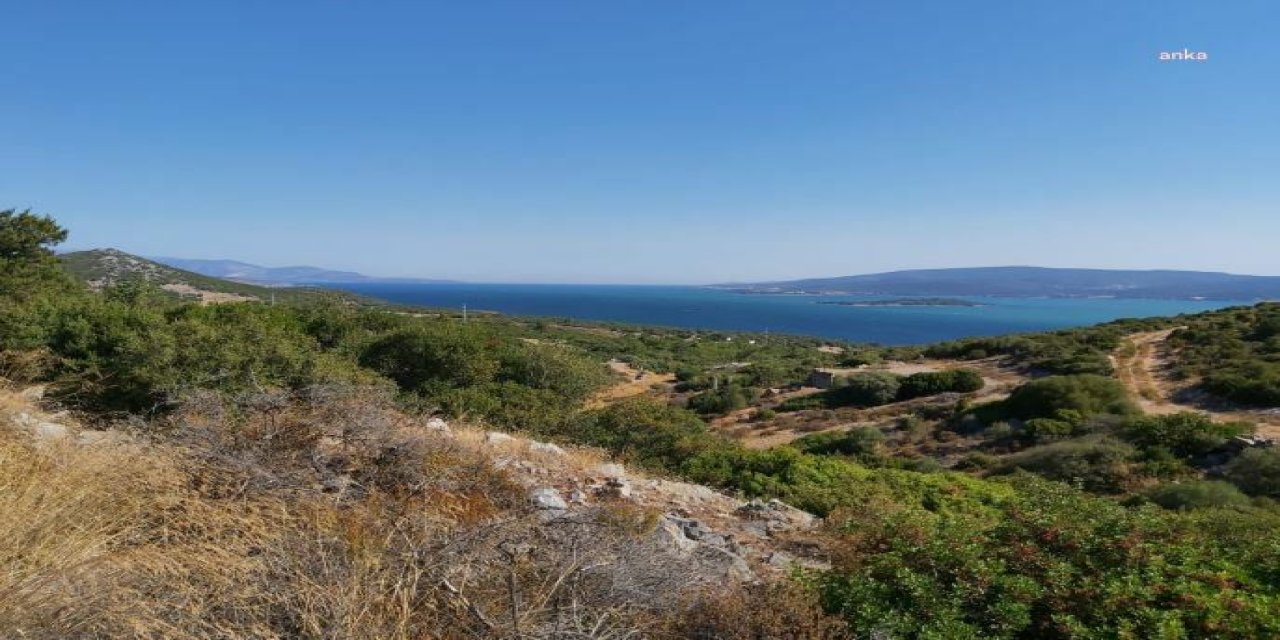 İZMİR URLA'DA ORMAN ARAZİSİNE KALKER OCAĞI İÇİN YENİ BAŞVURU