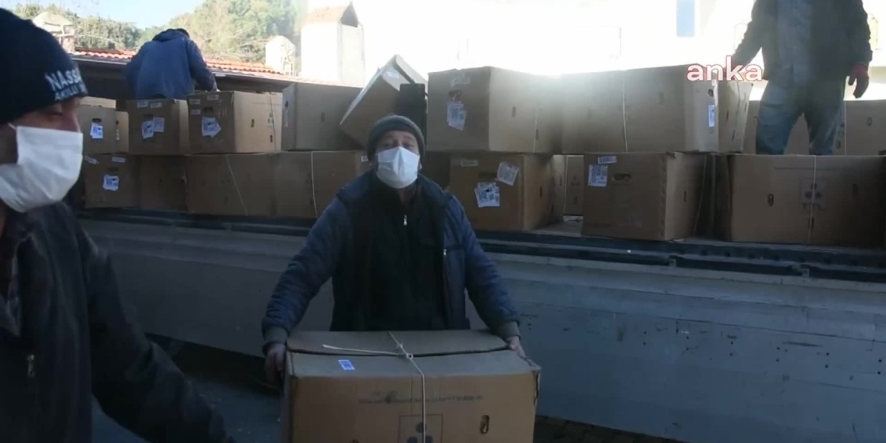 AYDINLI TÜTÜN ÜRETİCİSİ: "BİZİM GEMİ BU SENE SU ALDI. BATACAĞIZ GALİBA"