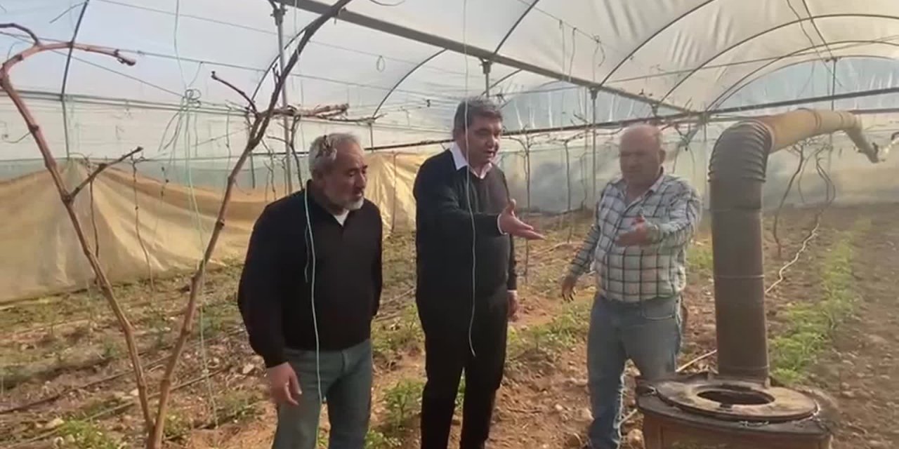 MERSİN'DE SERALARI DON VURDU, ÜRETİCİ DESTEK BEKLİYOR