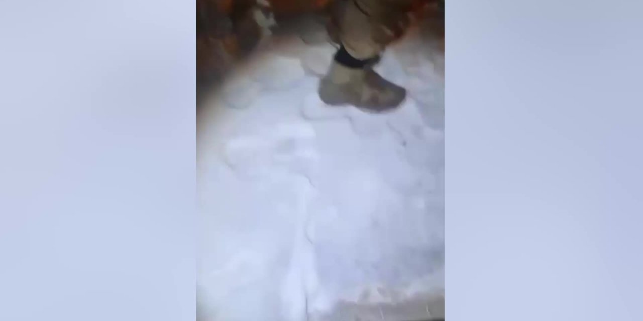 VAN’DA KAMYON KASASINDA 174 DÜZENSİZ GÖÇMEN YAKALANDI