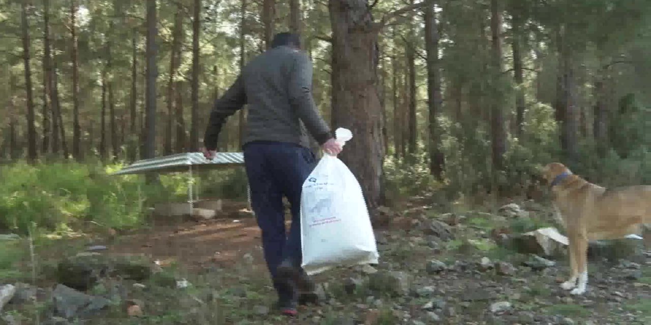 ANTALYA BÜYÜKŞEHİR ORMANLIK ALANDA BULUNAN HAYVANLARI BESLEDİ