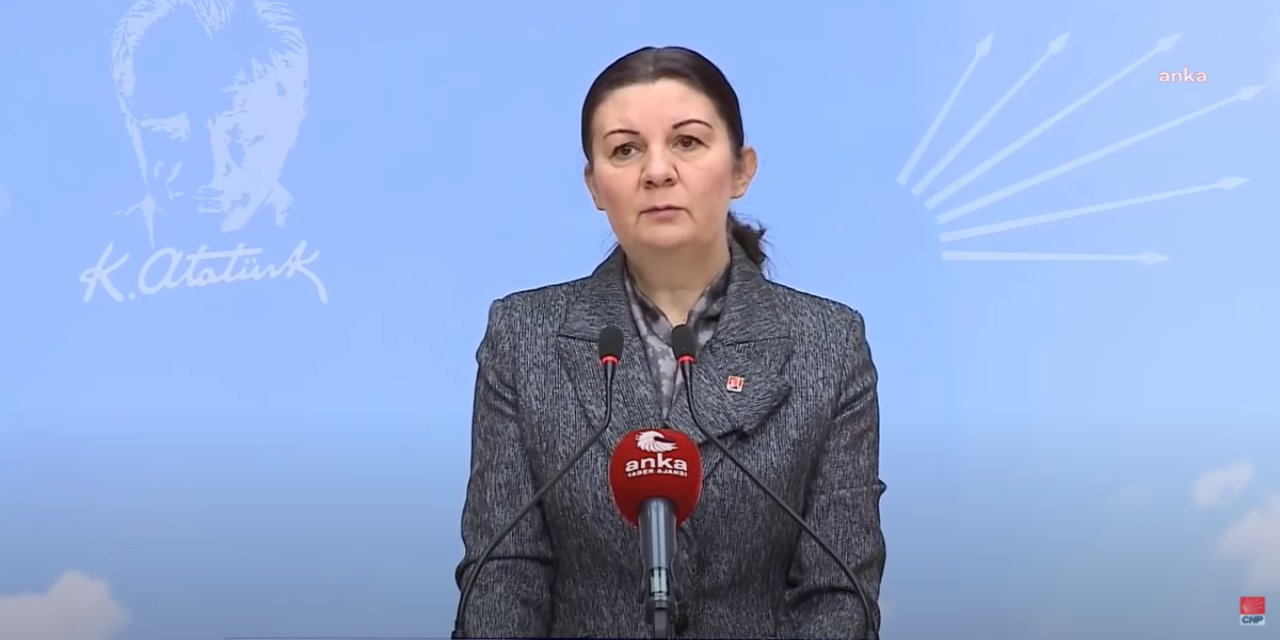 LALE KARABIYIK’TAN 'ÖĞRETMENLİK MESLEK KANUN'NA TEPKİ: "BU TEKLİF, ÖĞRETMENLER ARASINDA HİYERARŞİ OLUŞTURMA PROJESİDİR"