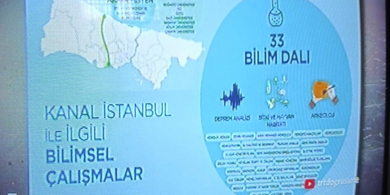 Yeni Aslan Steven Nzonzi’nin Kariyeri