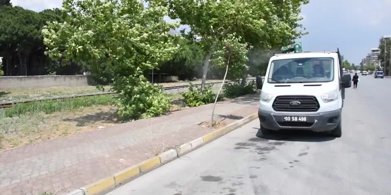 SÖKE BELEDİYESİ'NDEN SİVRİNEK VE UÇKUN MÜCADELESİ