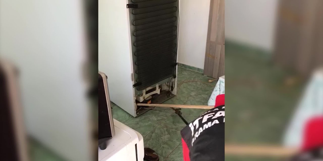 MUĞLA MARMARİS’TE BUZDOLABININ MOTOR BÖLÜMÜNE GİREN KARAYILAN DOĞAYA BIRAKILDI