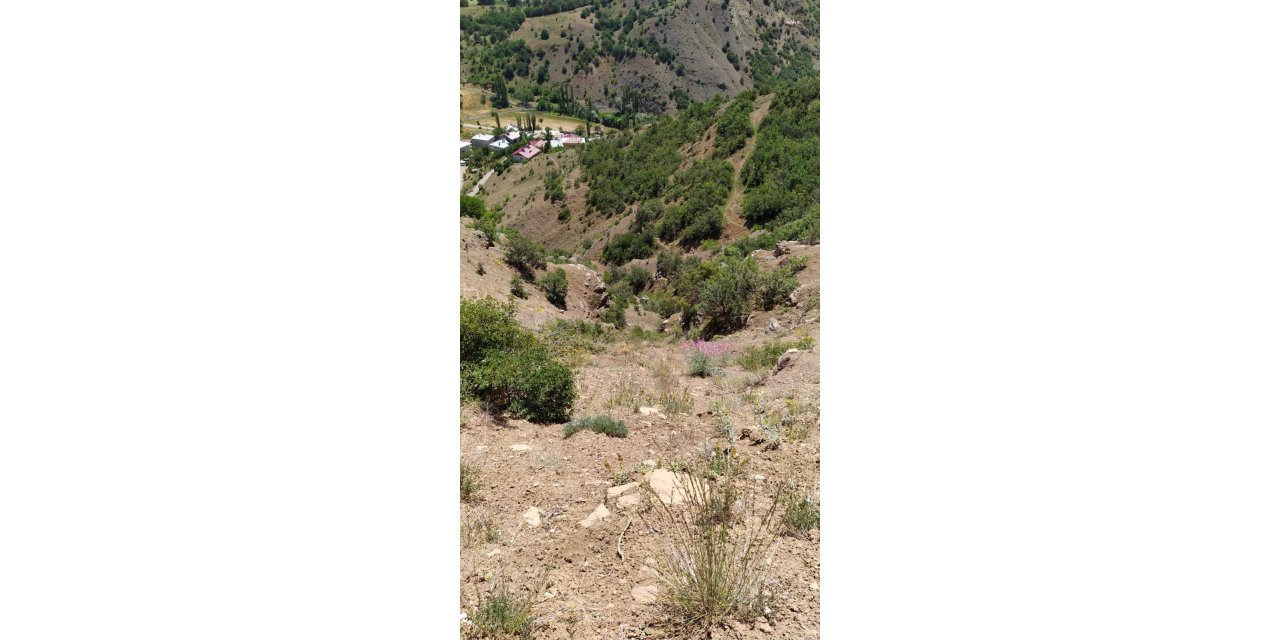 GİRESUN’DA ARAÇ UÇURUMA YUVARLANDI: 2 ÖLÜ