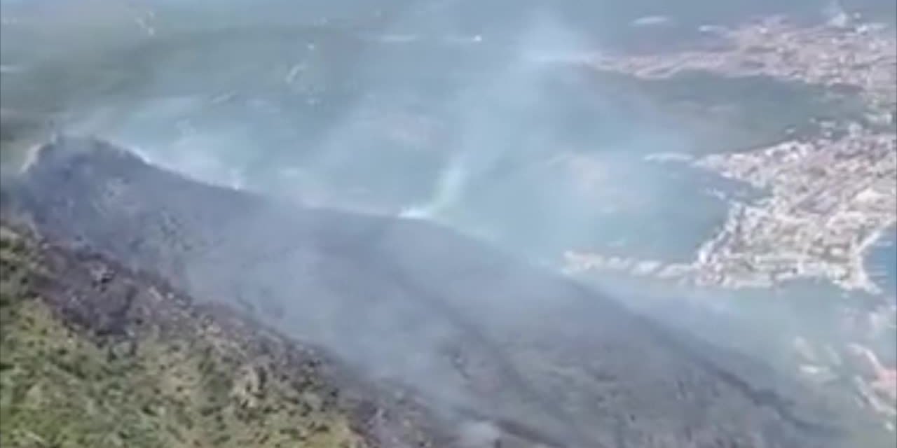 Türkiye Deniz Canlıları Müzesi Ziyaretçi Rekoru Kırdı