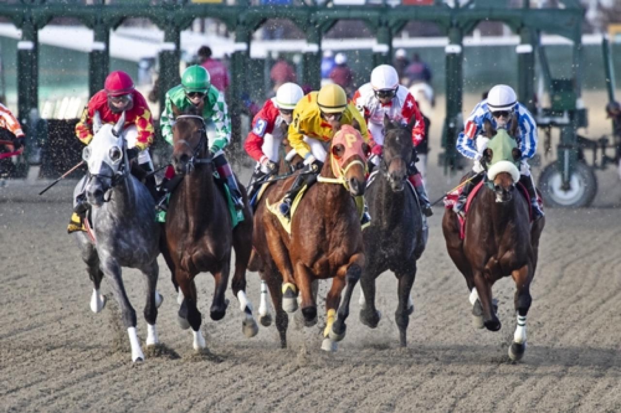 26 Eylül Pazartesi Philadelphia Parx yarış programı ve erken bahis oranları belli oldu
