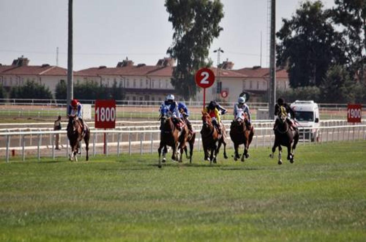 Konya Ereğli Belediye Başkanlığı Koşusu'nu Golden Ruler kazandı