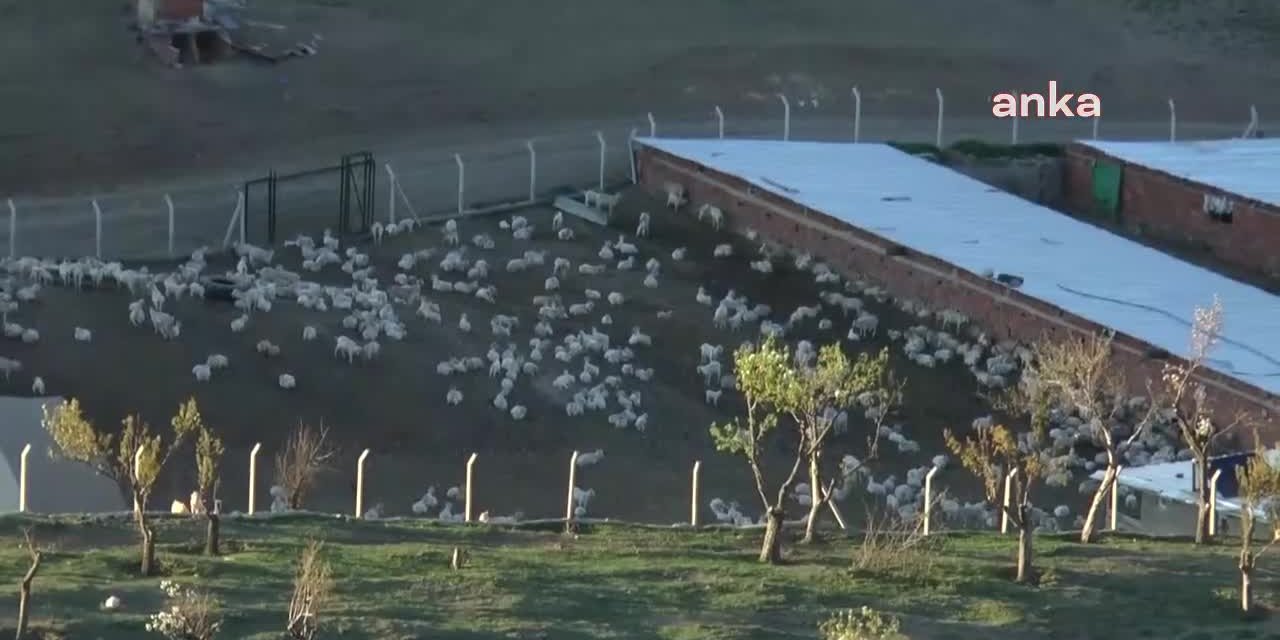 BİRLİK BAŞKANI KILINÇ’TAN KURBANLIK SATICILARINA AŞI UYARISI