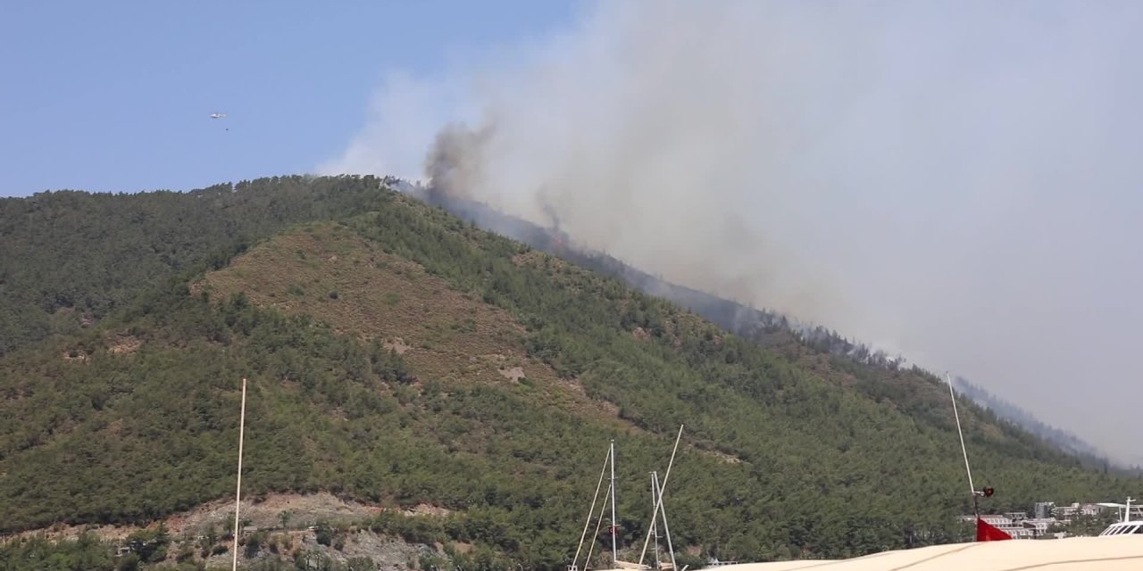 MARMARİS BELEDİYESİ, YANAN ORMANLIK ALANI YENİDEN AĞAÇLANDIRACAK