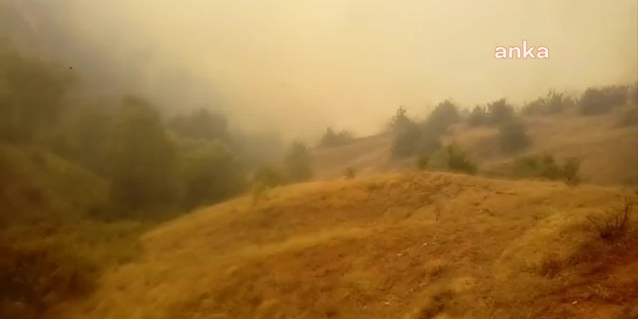 BİNGÖL'DE YANGIN SÜRÜYOR: “TARLALARIMIZ, BAHÇELERİMİZ HEP YANDI”