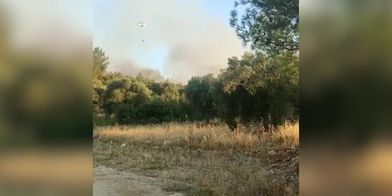 MİLAS’TA DA ORMAN YANGINI ÇIKTI