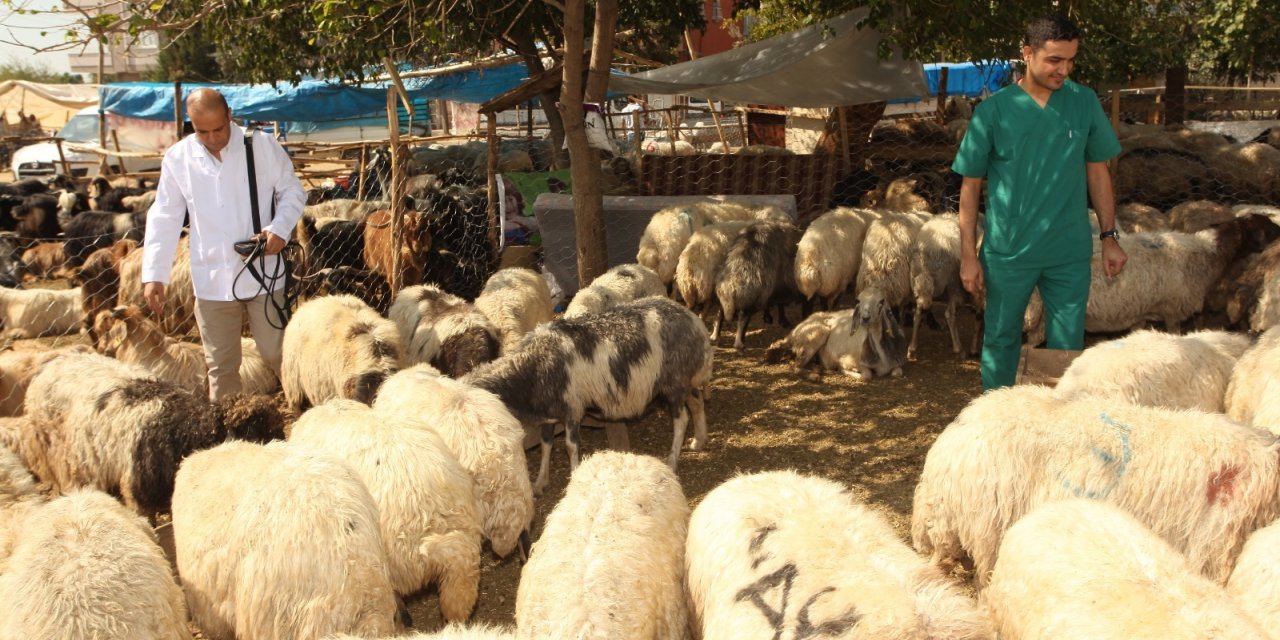 SEYHAN’DA KURBAN SATIŞ VE KESİM YERLERİ BELİRLENDİ