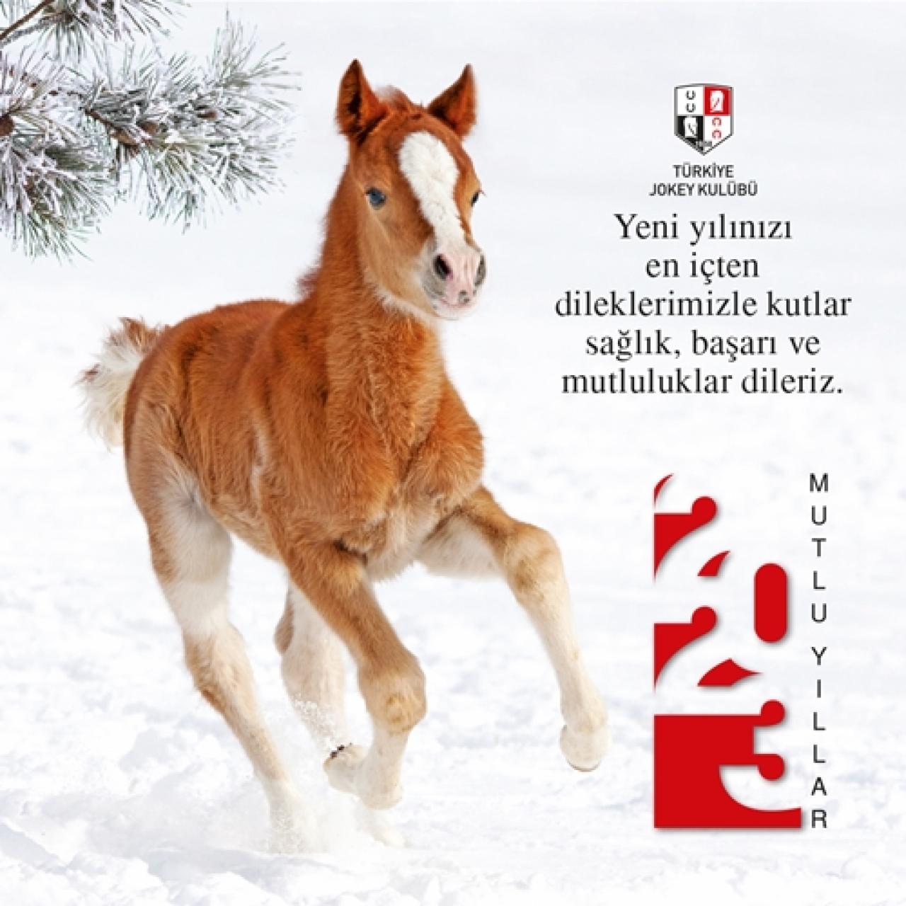 Yeni yılınızı kutlar, sağlık, başarı ve mutluluklar dileriz