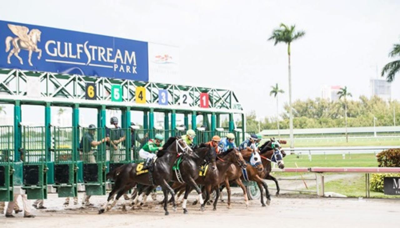 14 Ocak Cumartesi Gulfstream Park yarış programı ve erken bahis oranları belli oldu