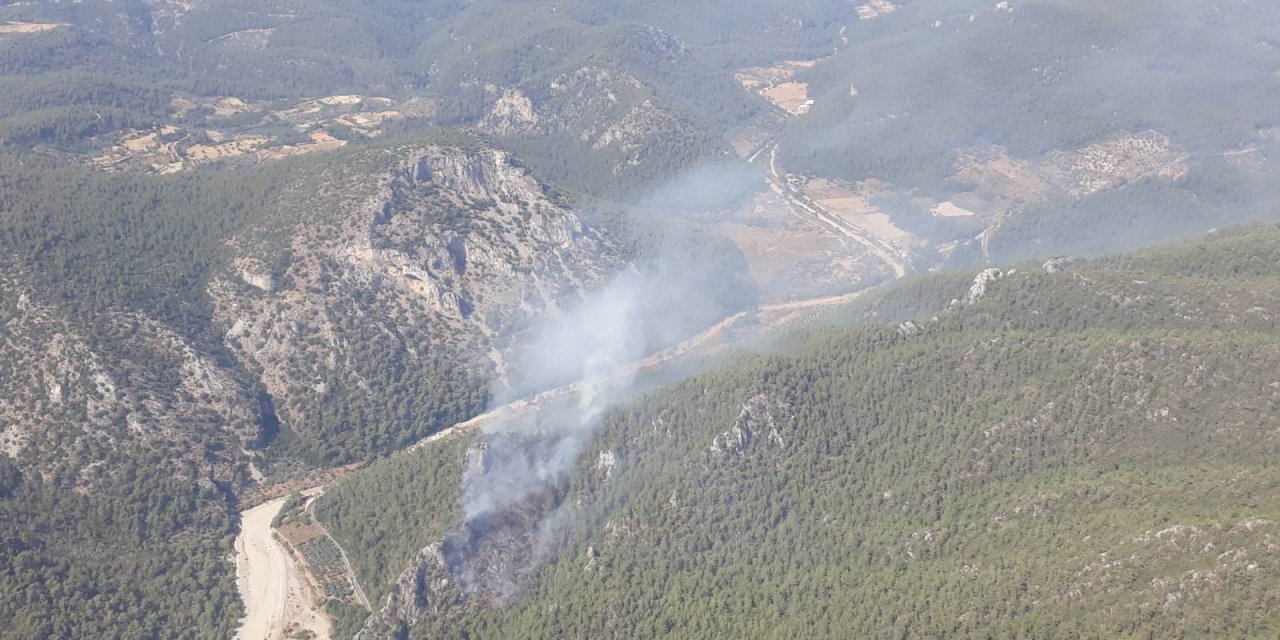 MUĞLA MİLAS’TA ORMAN YANGINI