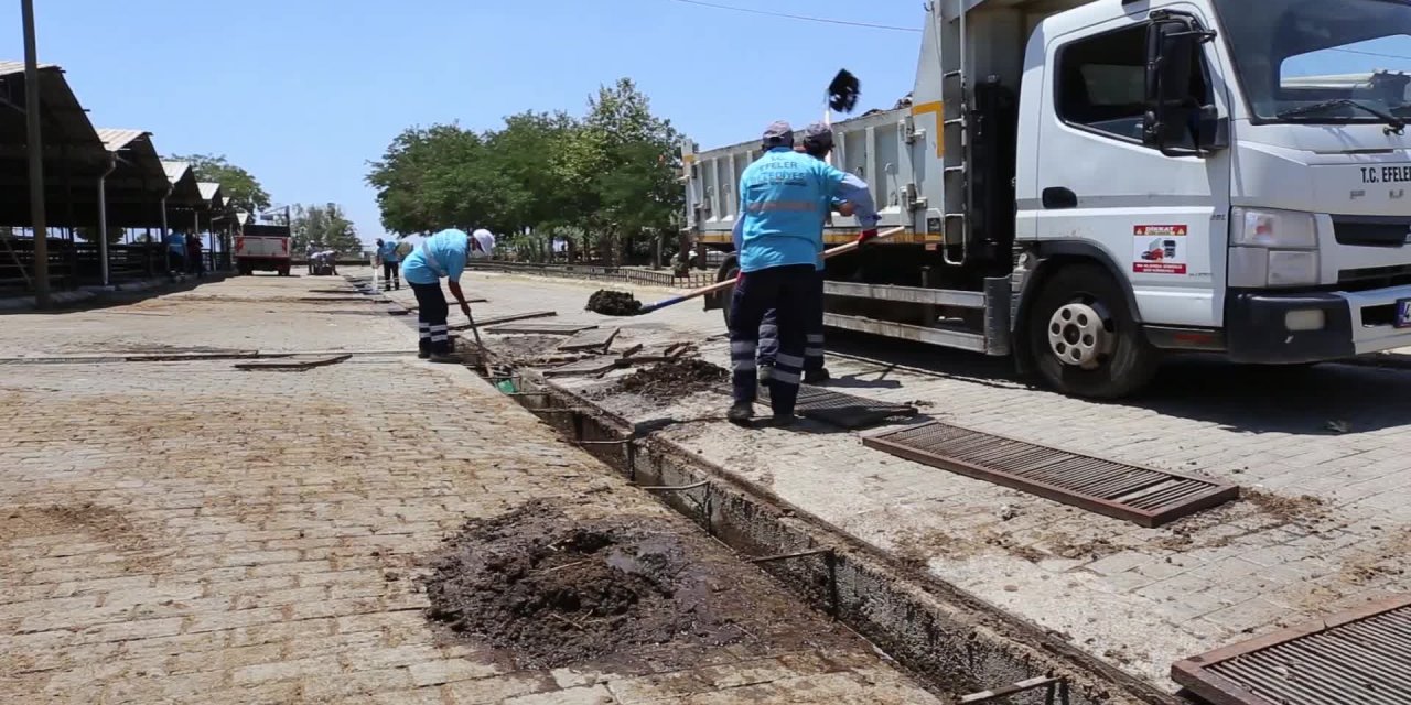 EFELER BELEDİYESİ’NDEN KURBAN BAYRAMI ÖNCESİ HAYVAN PAZARINDA HAZIRLIK