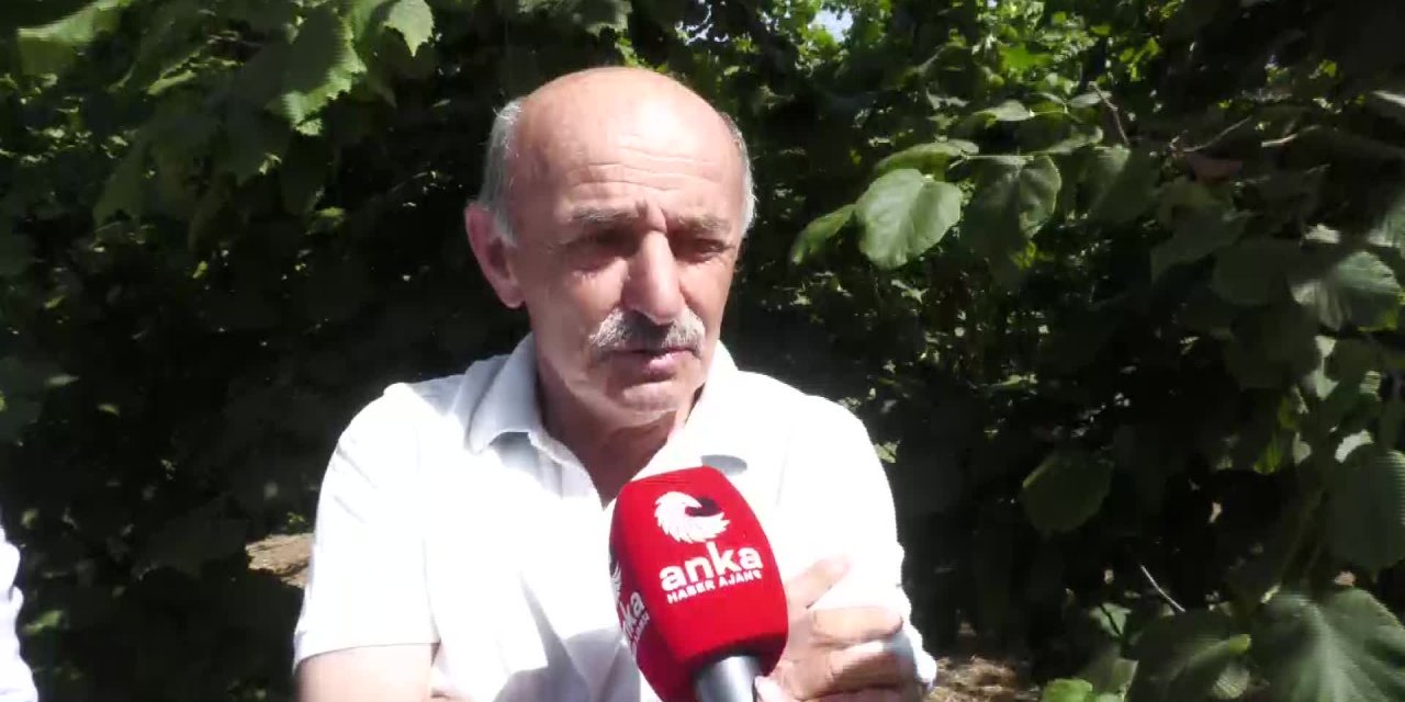 SAKARYALI FINDIK ÜRETİCİSİ TALEBİNİ CHP HEYETİNE İLETTİ: "ALIM FİYATI BİR ÖNCE AÇIKLANSIN, BEKLENTİMİZ 35 LİRA"