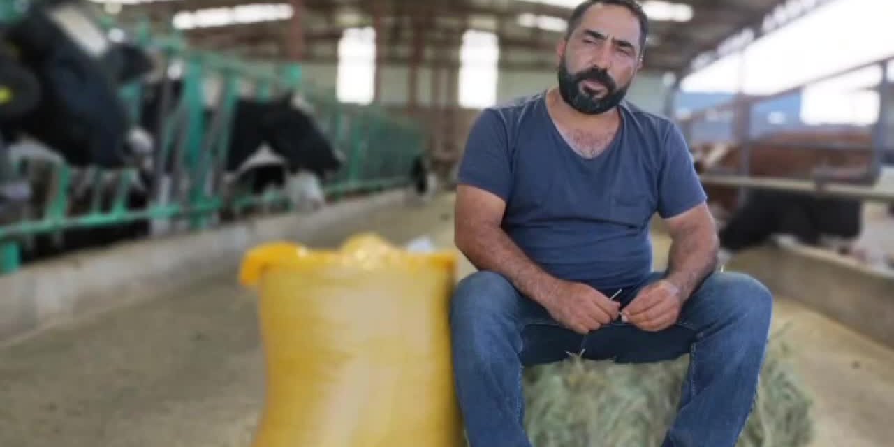 SÜT ÜRETİCİLERİ, FİYATLARIN SABİTLENMESİNE TEPKİLİ: "BİZLERİ KESİME MECBUR BIRAKMAYIN"