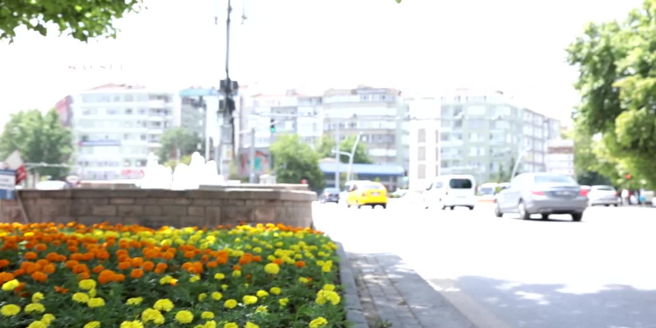 BAŞKENT BÜYÜKŞEHİR’İN YERLİ YAZ ÇİÇEKLERİYLE BEZENDİ