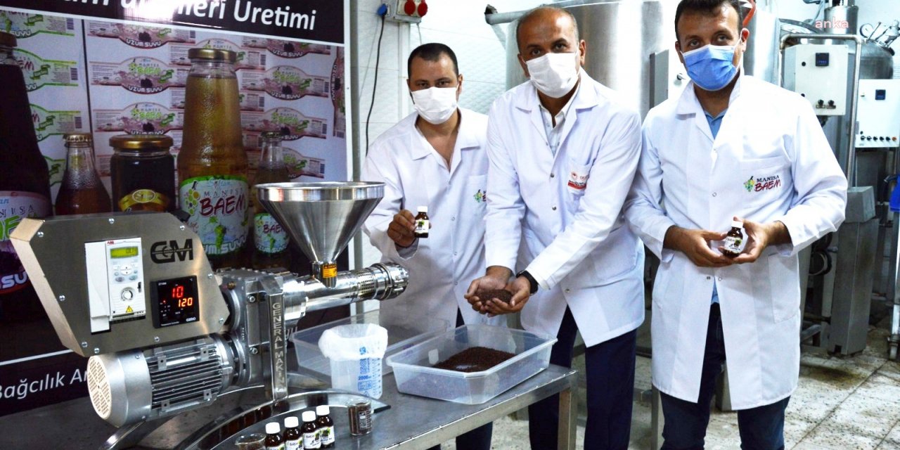 ÜZÜM ÇEKİRDEĞİ YAĞI LİTRESİ 1000 LİRADAN SATILIYOR