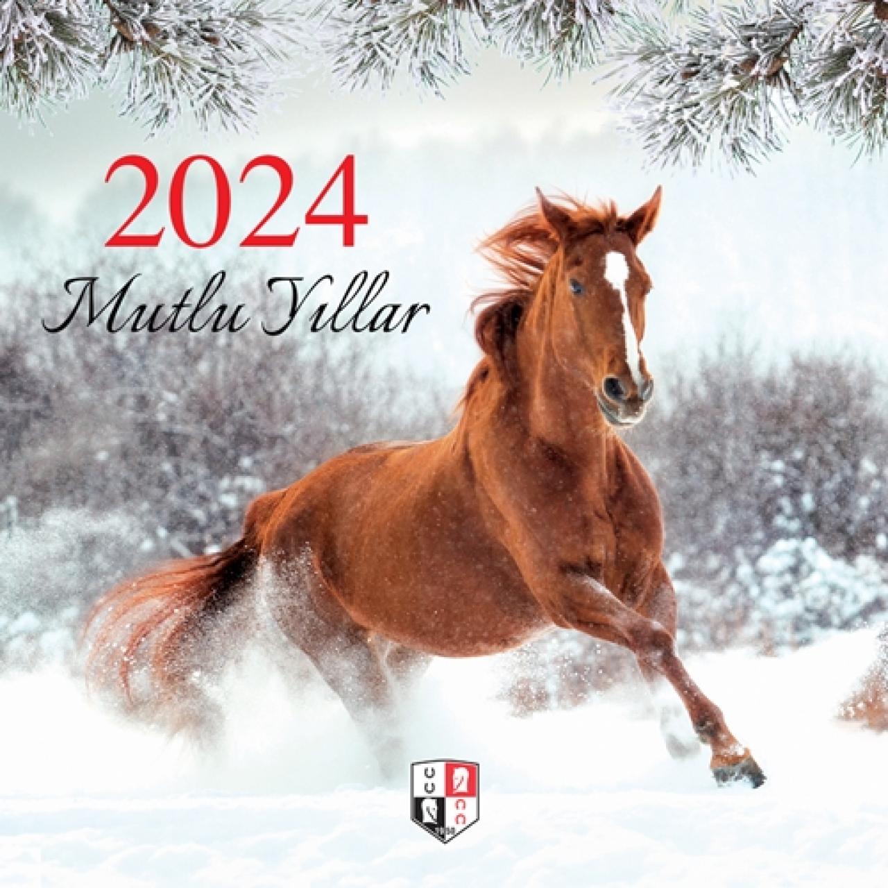 Yeni yılınızı kutlar, sağlık, başarı ve mutluluklar dileriz