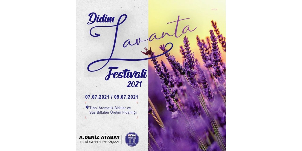 DİDİM LAVANTA FESTİVALİİÇİN GERİ SAYIM BAŞLADI