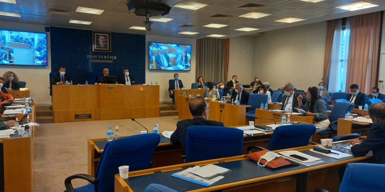 HAYVAN HAKLARI SAVUNUCULARI MECLİS KOMİSYONU'NDA: "PARTİ TEMSİLCİLERİNİN HEPSİ KATLİAMCI, BELEDİYELERİN YÜZDE 90’I ÖLDÜRÜYOR"